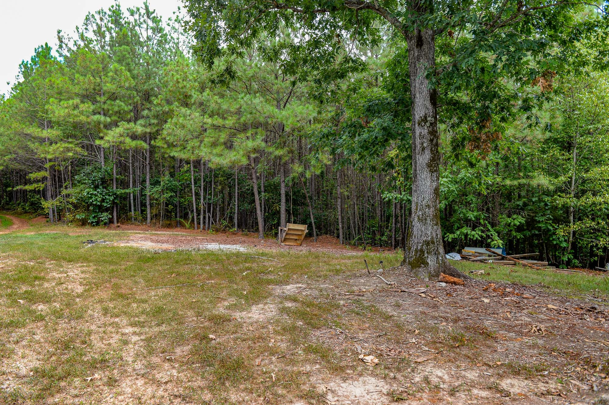 0 Brush Creek Road Property Photo 6