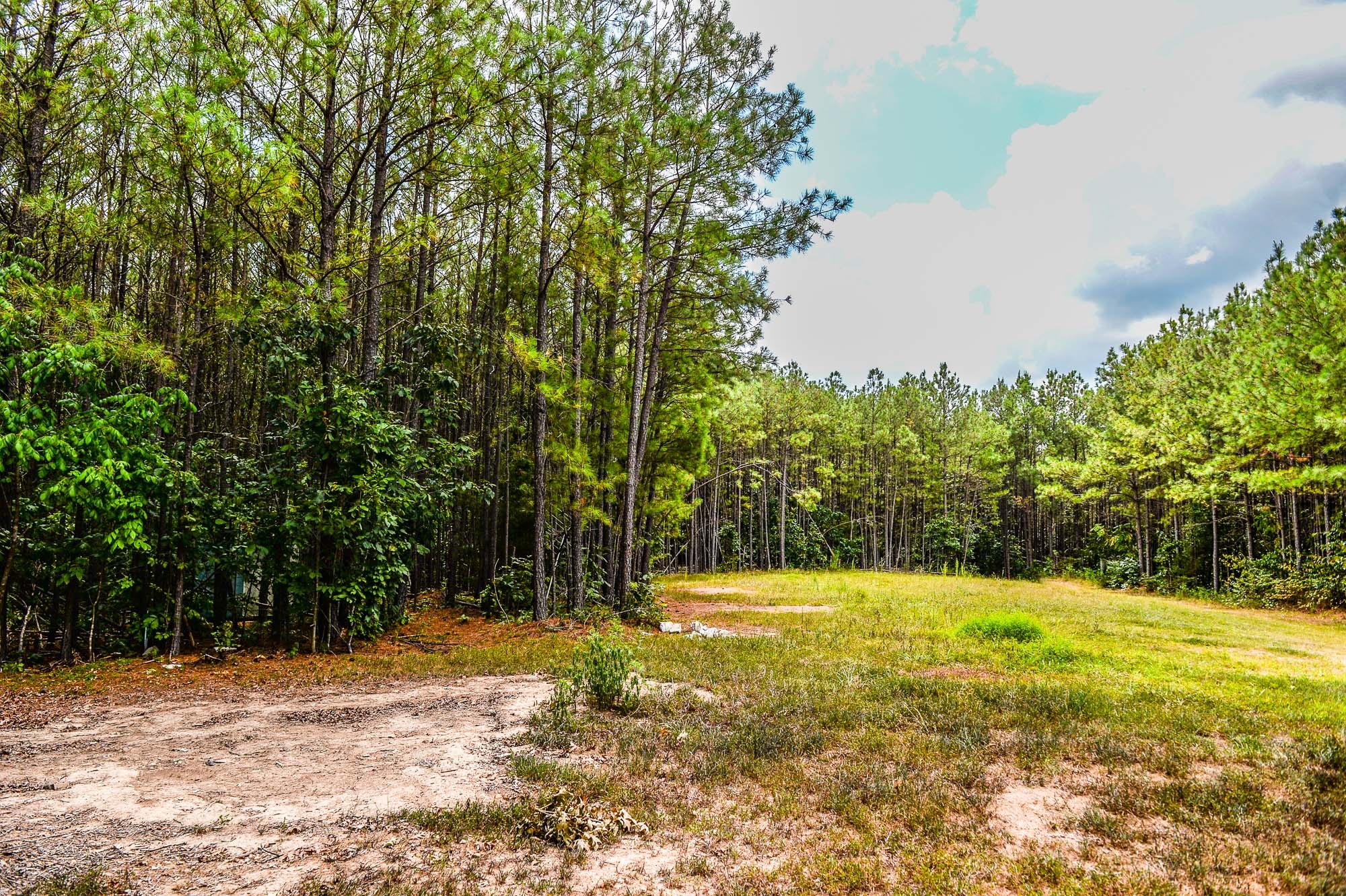 0 Brush Creek Road Property Photo 7