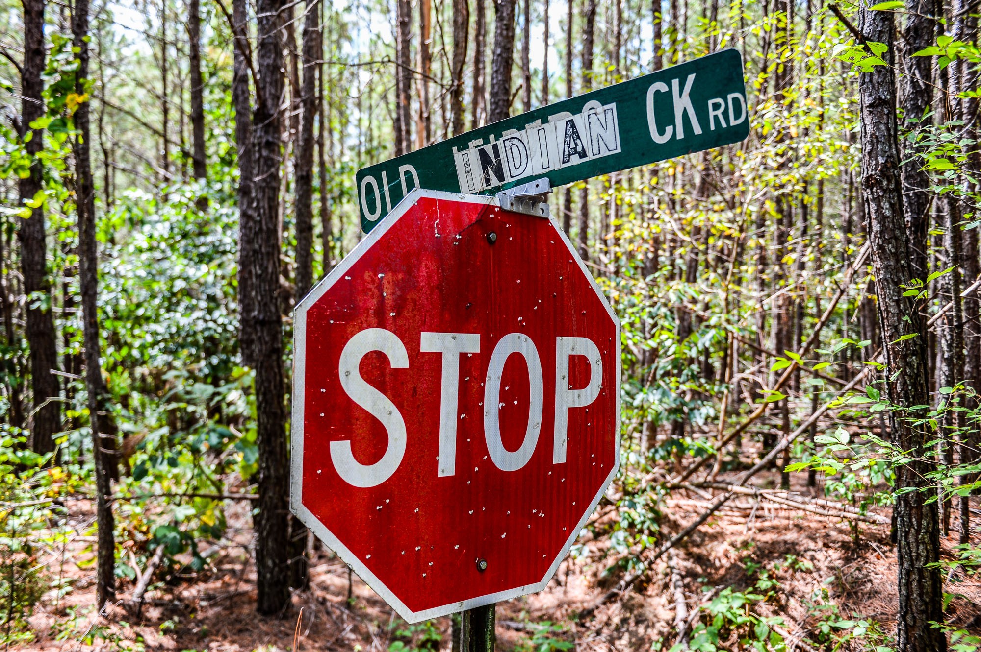 0 Brush Creek Road Property Photo 8