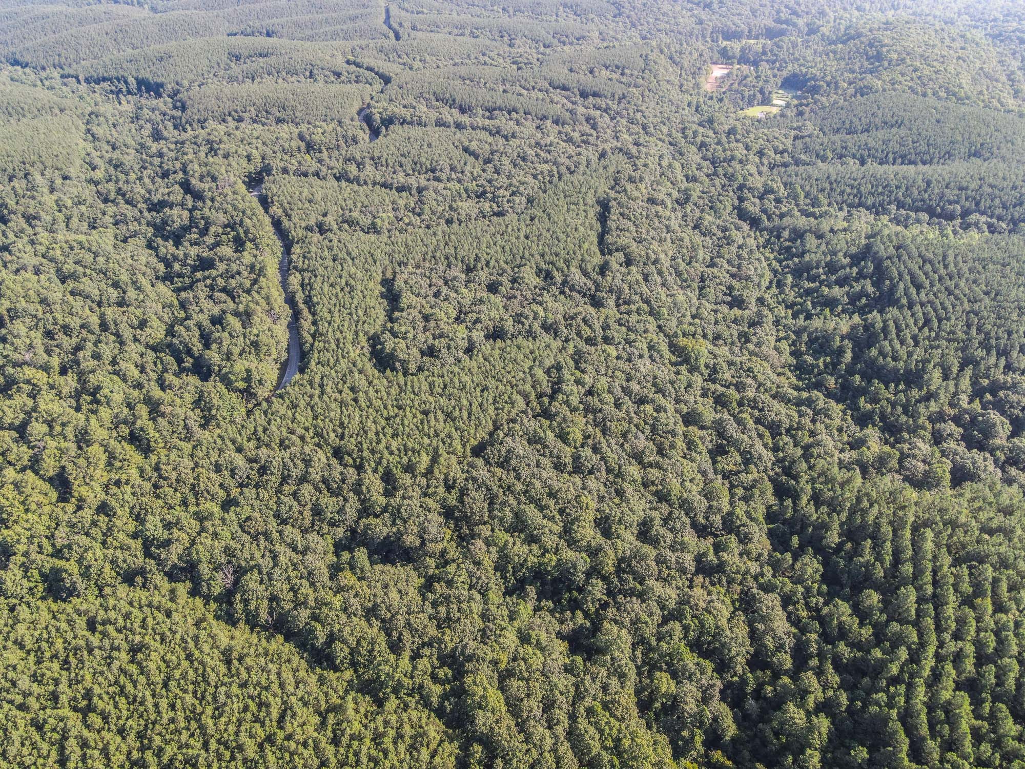 0 Brush Creek Road Property Photo 15