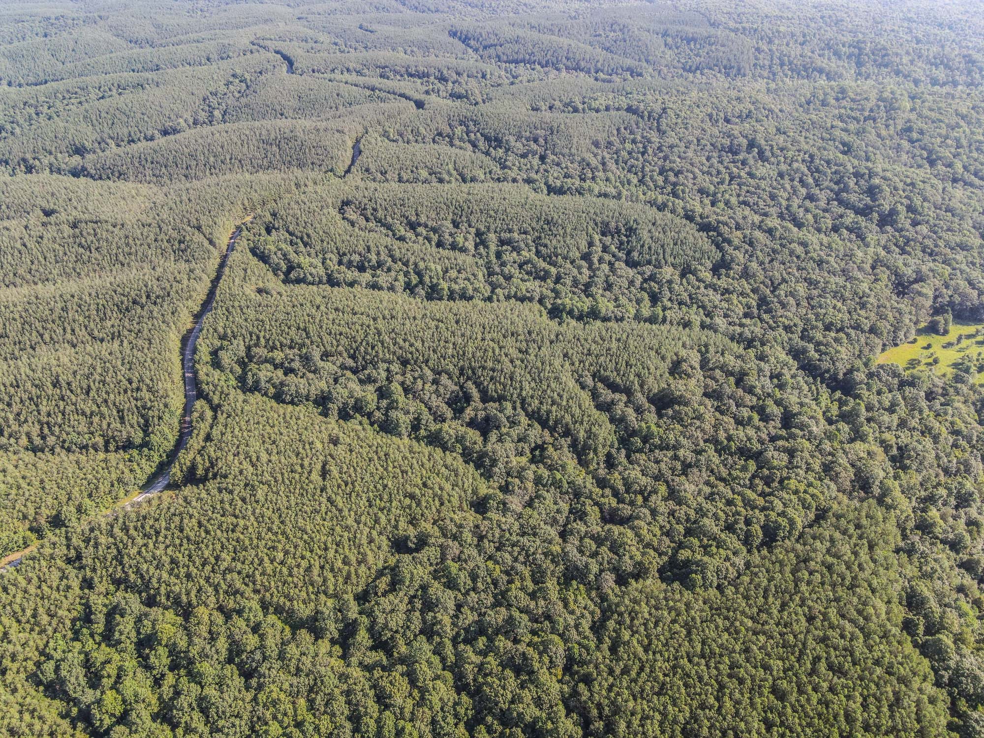 0 Brush Creek Road Property Photo 16