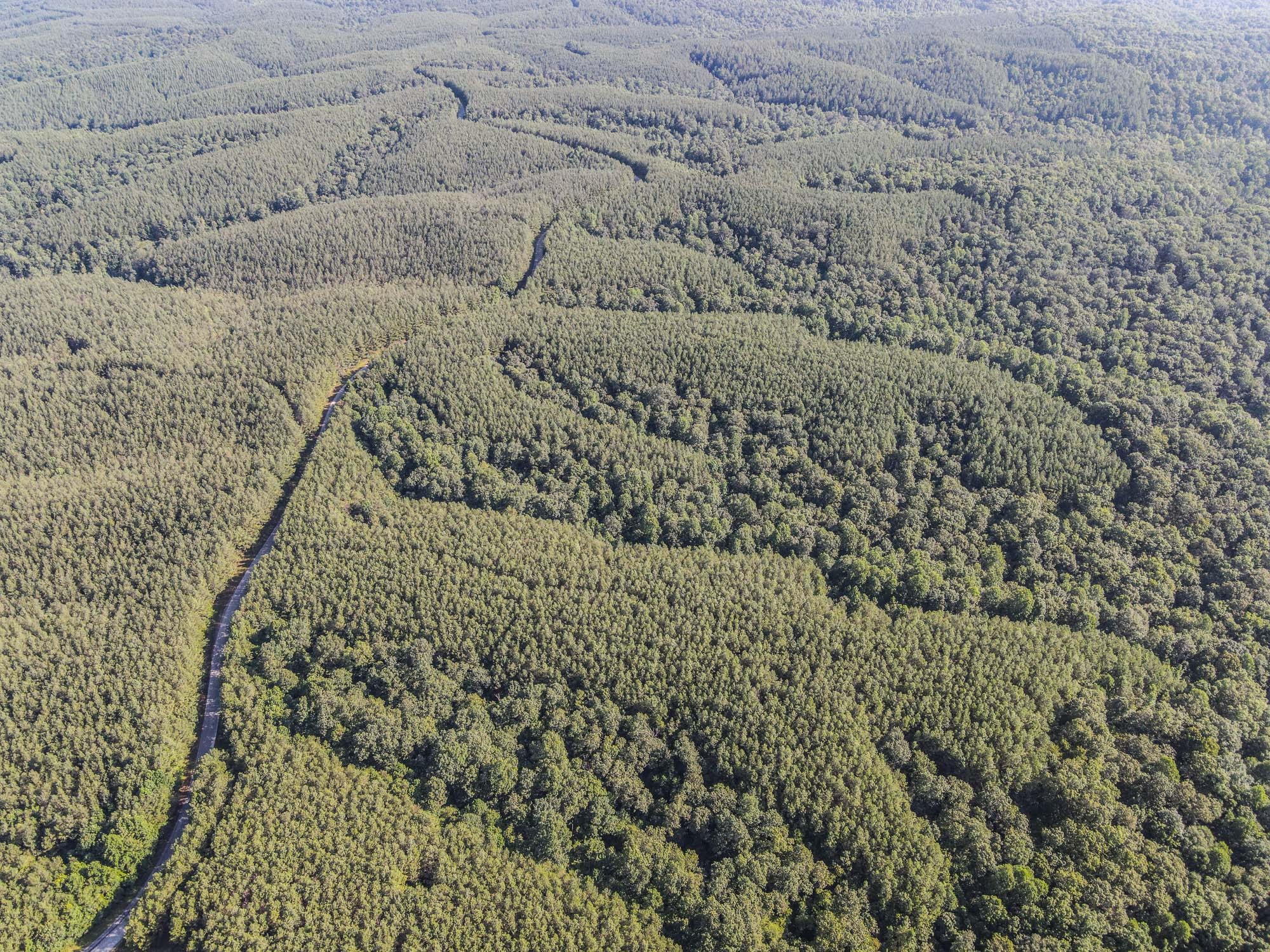 0 Brush Creek Road Property Photo 17