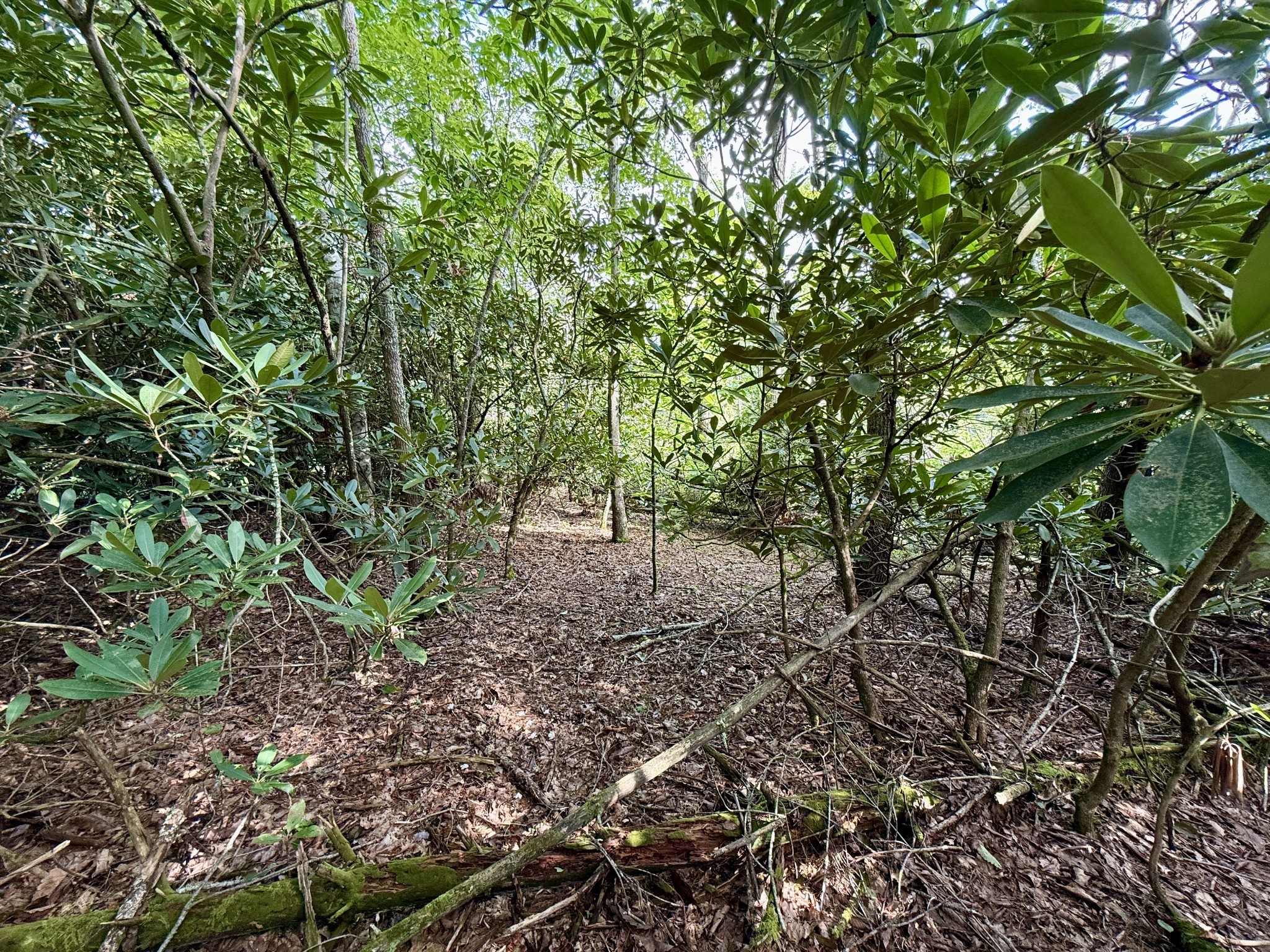 1 Bankers Bend Property Photo 2