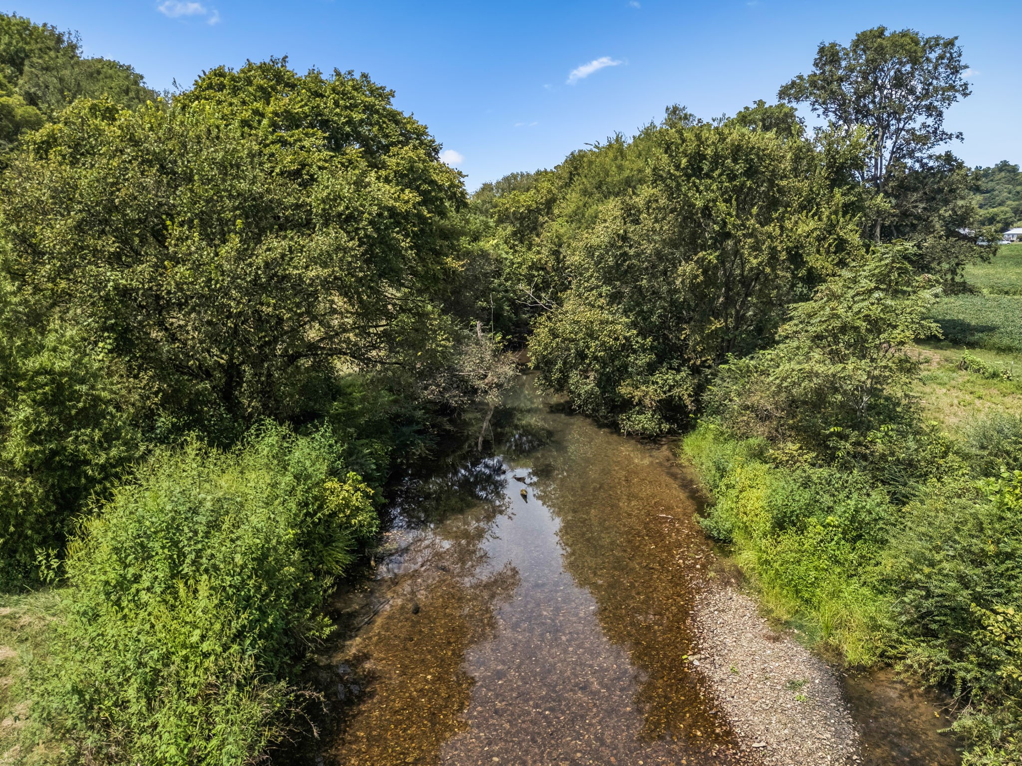 4951 Weakley Creek Rd Property Photo 2