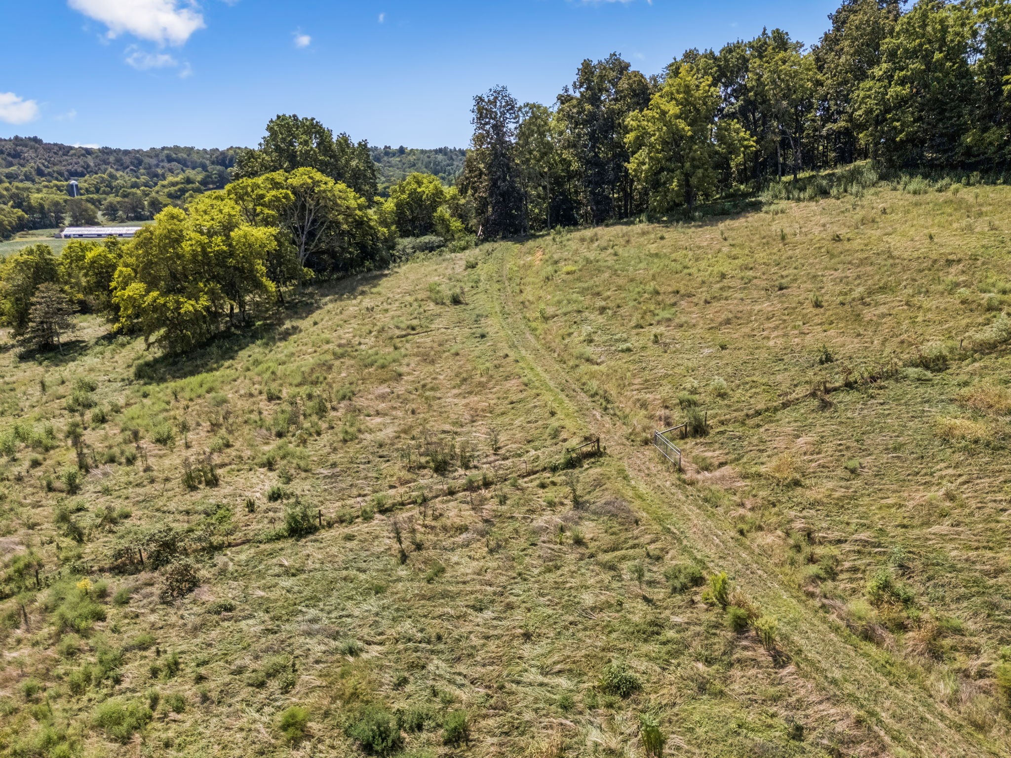 4951 Weakley Creek Rd Property Photo 54