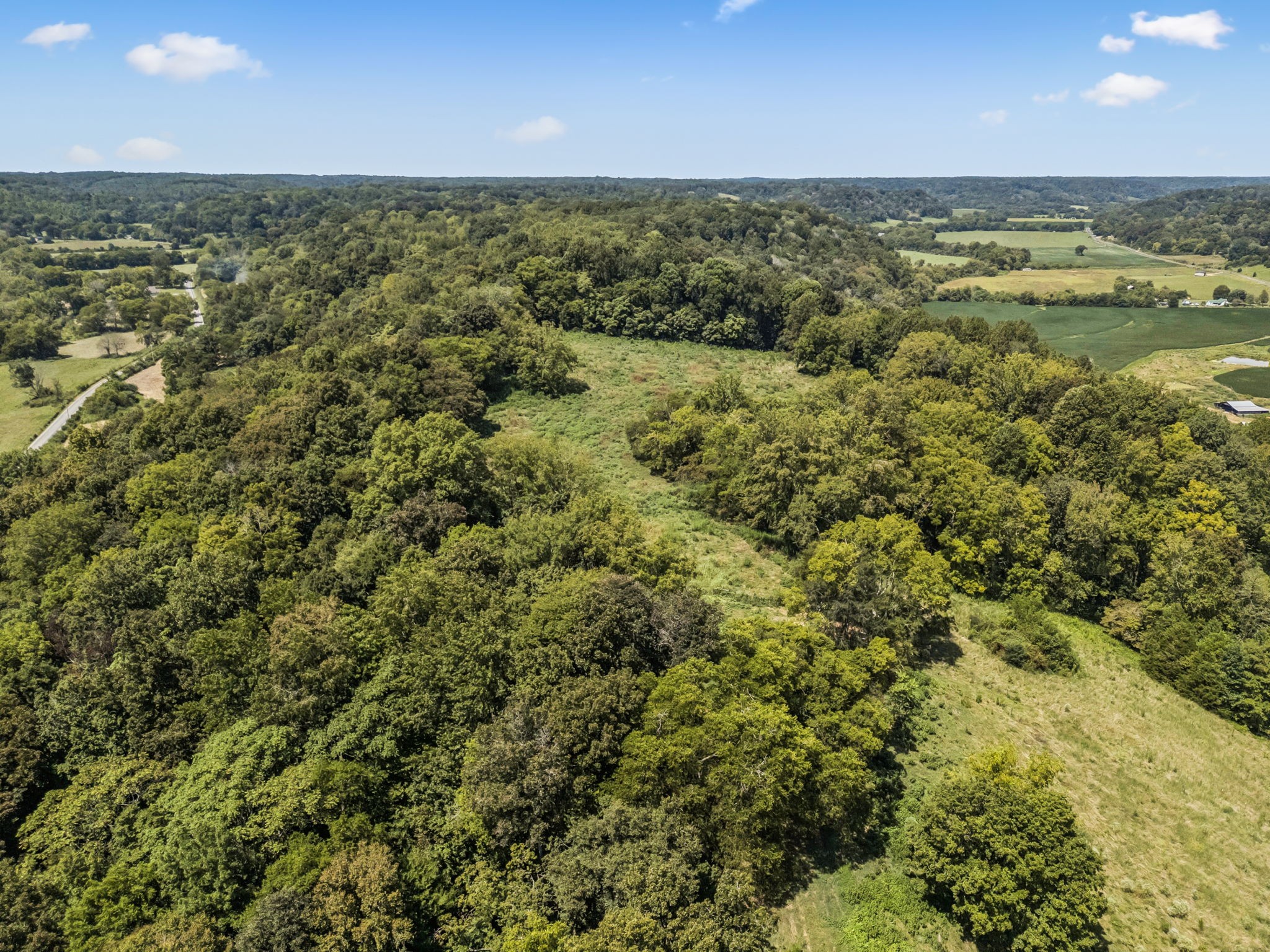 4951 Weakley Creek Rd Property Photo 55