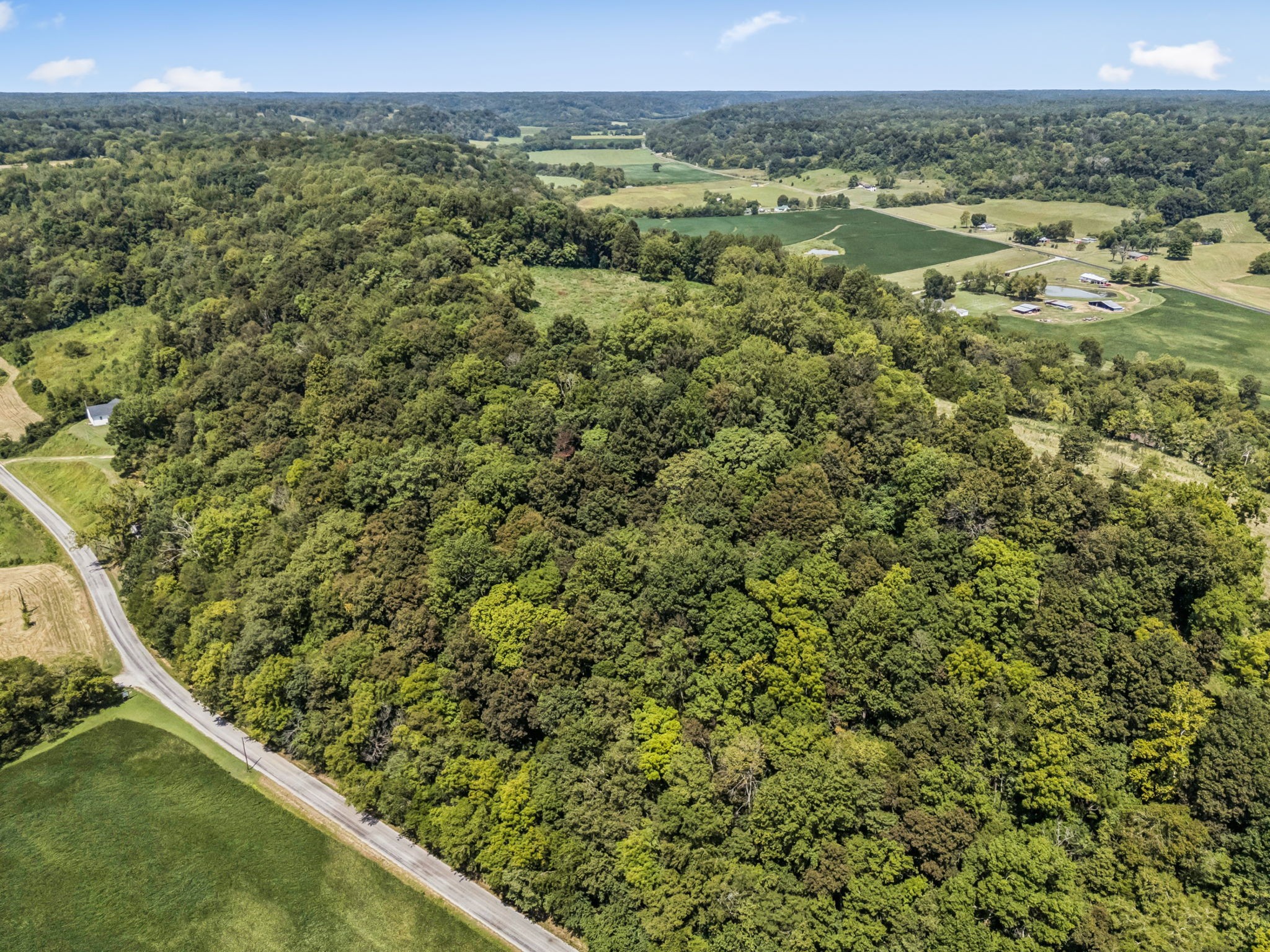 4951 Weakley Creek Rd Property Photo 56
