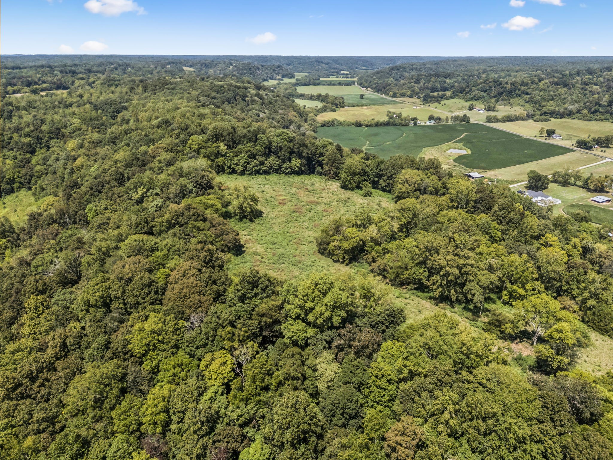 4951 Weakley Creek Rd Property Photo 57