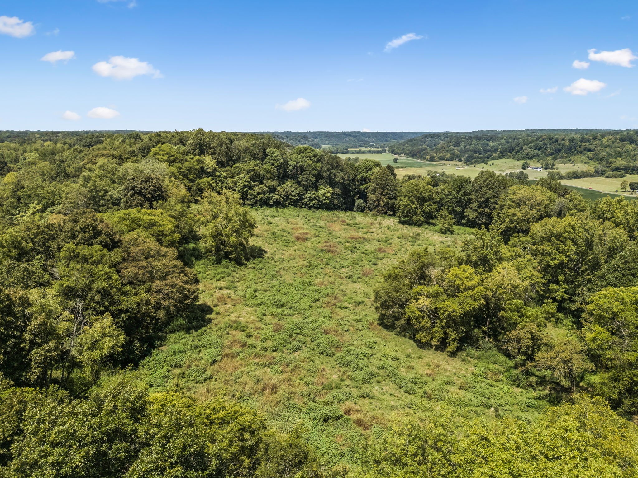 4951 Weakley Creek Rd Property Photo 58