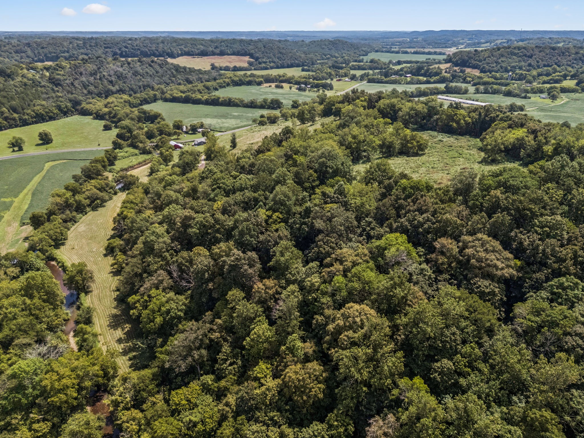 4951 Weakley Creek Rd Property Photo 60