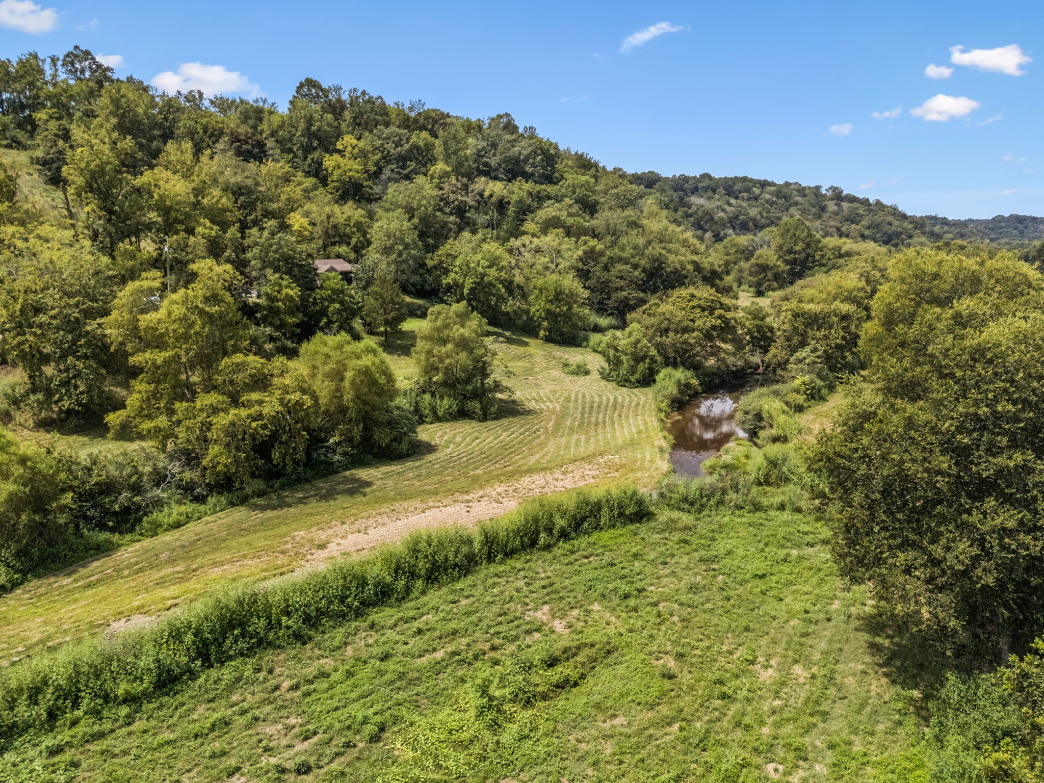 4951 Weakley Creek Rd Property Photo 67