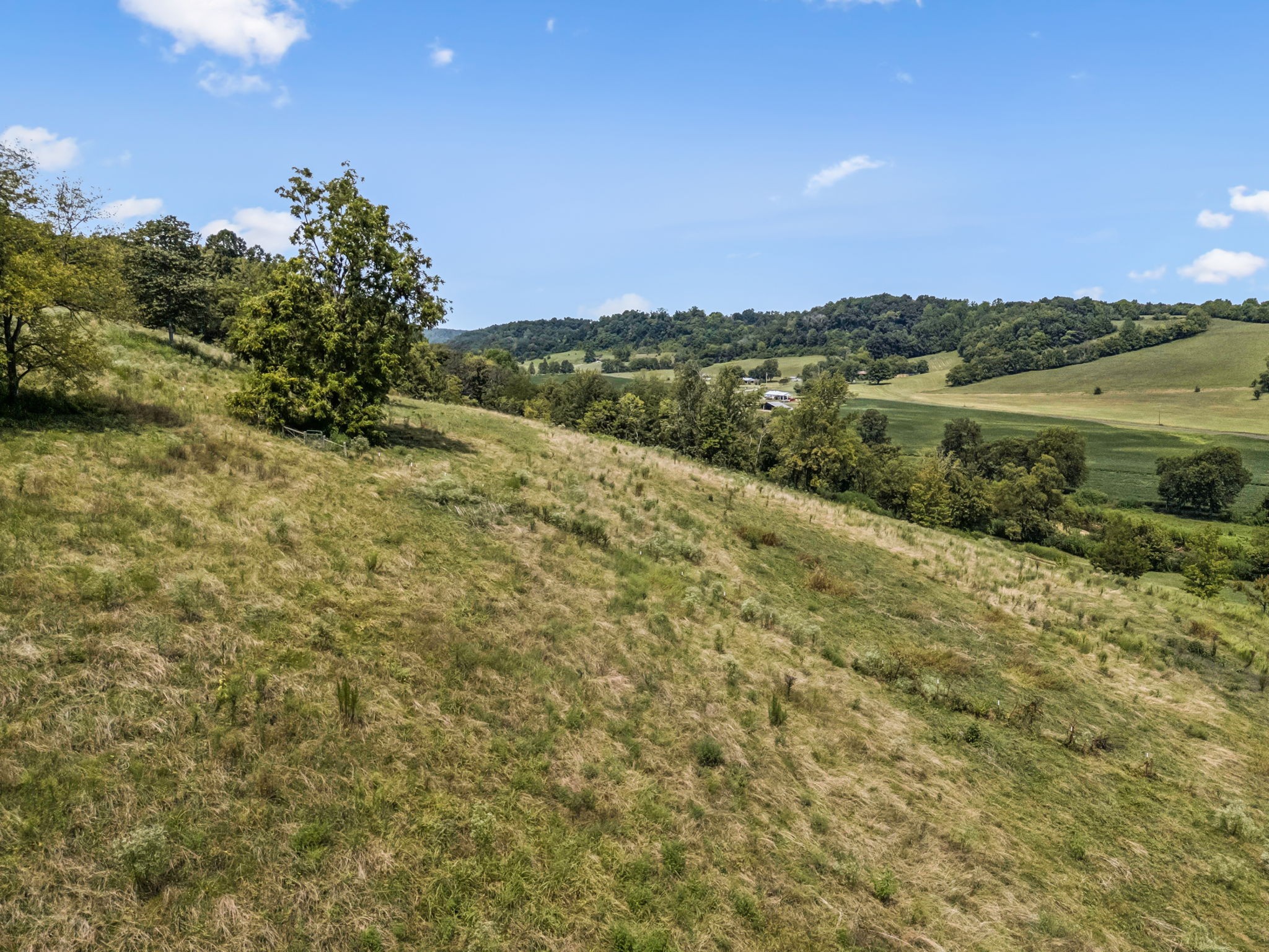 4951 Weakley Creek Rd Property Photo 72