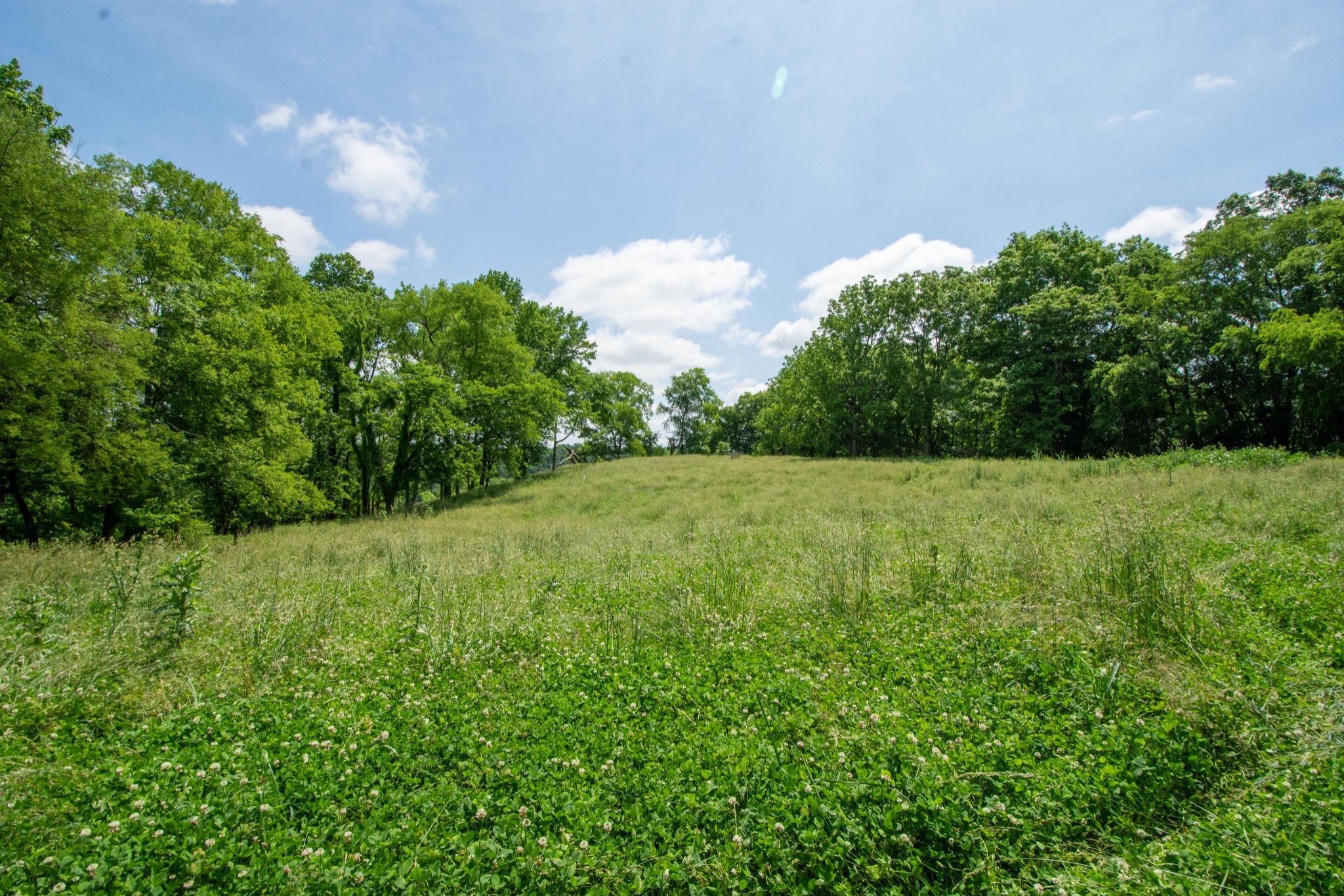 4951 Weakley Creek Rd Property Photo 74