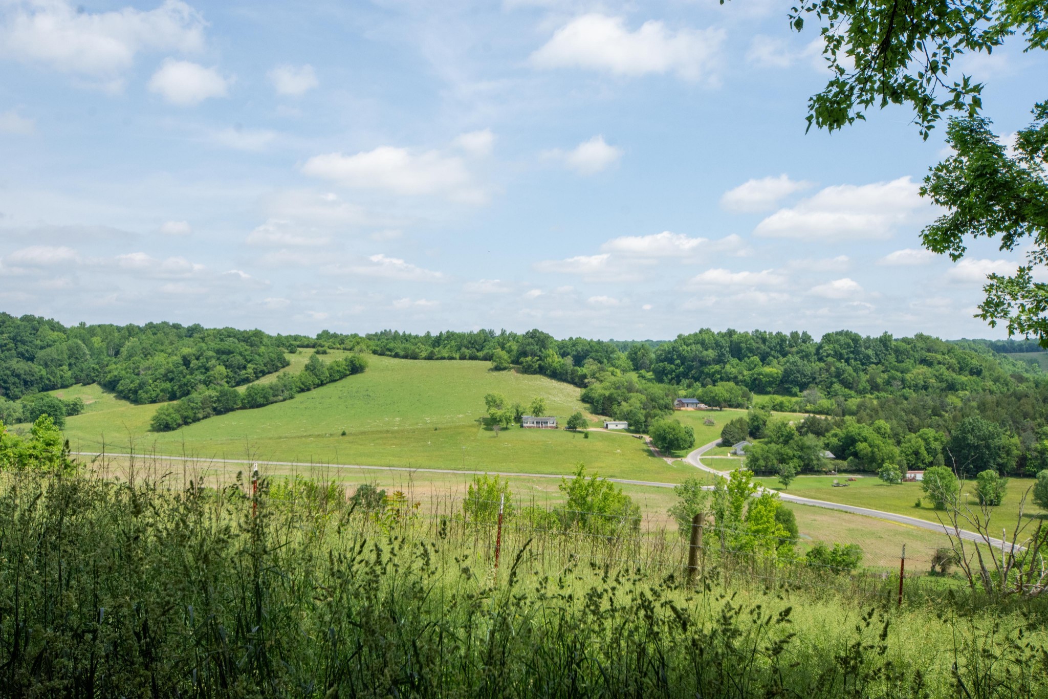 4951 Weakley Creek Rd Property Photo 75