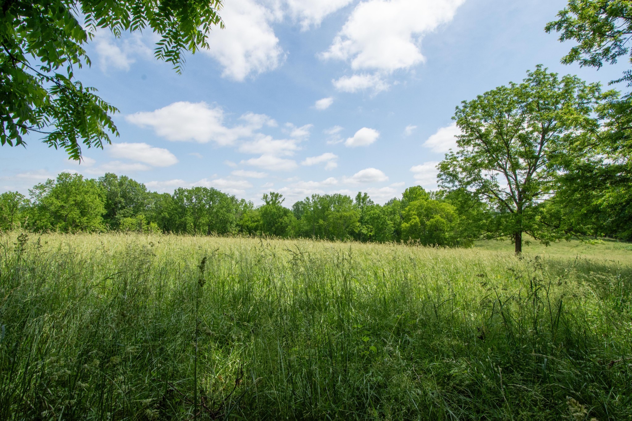 4951 Weakley Creek Rd Property Photo 76