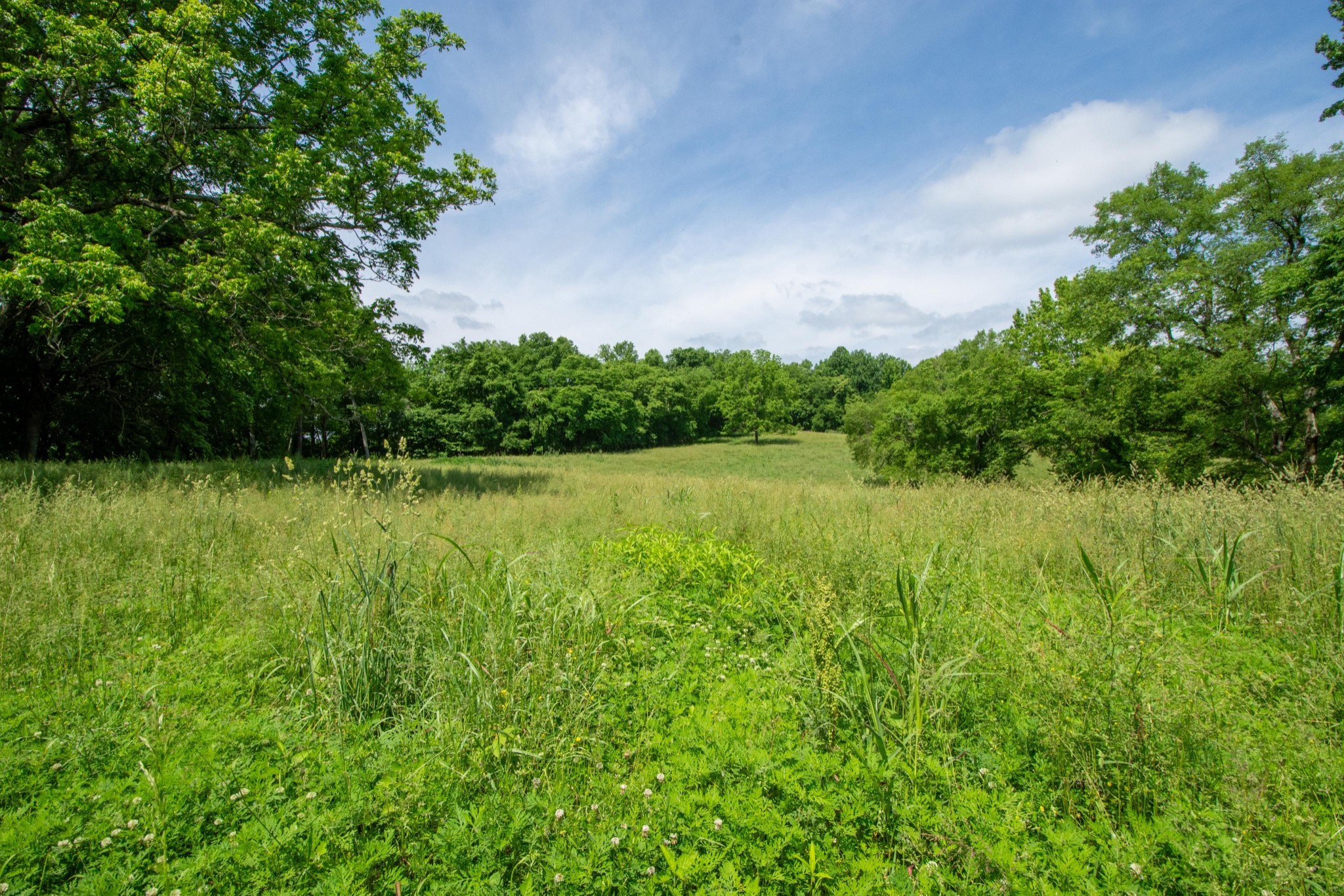 4951 Weakley Creek Rd Property Photo 77
