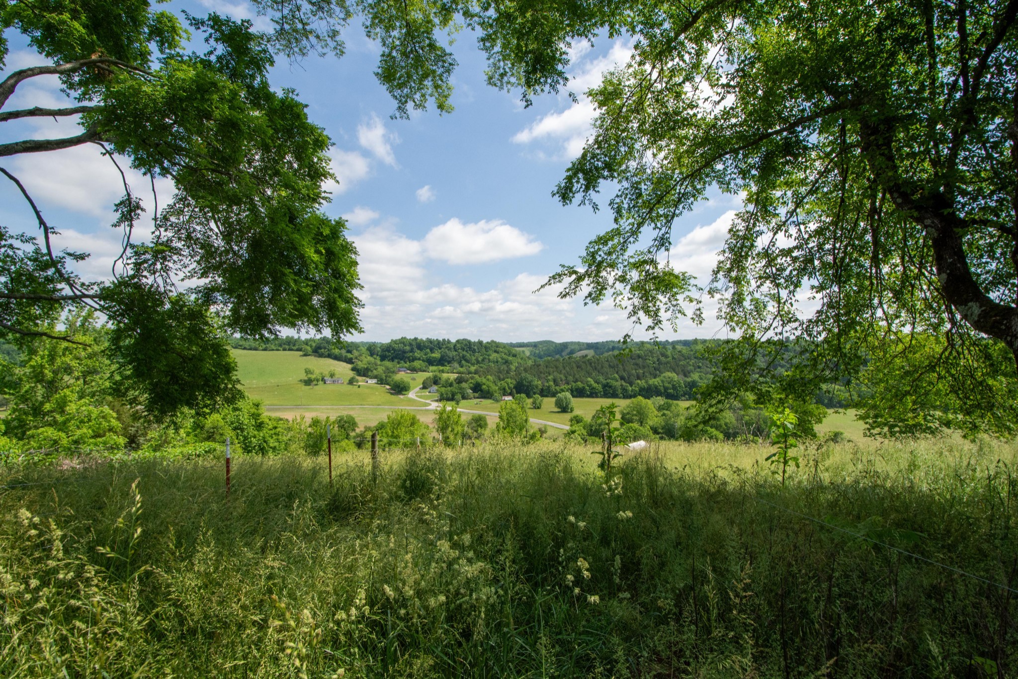 4951 Weakley Creek Rd Property Photo 78
