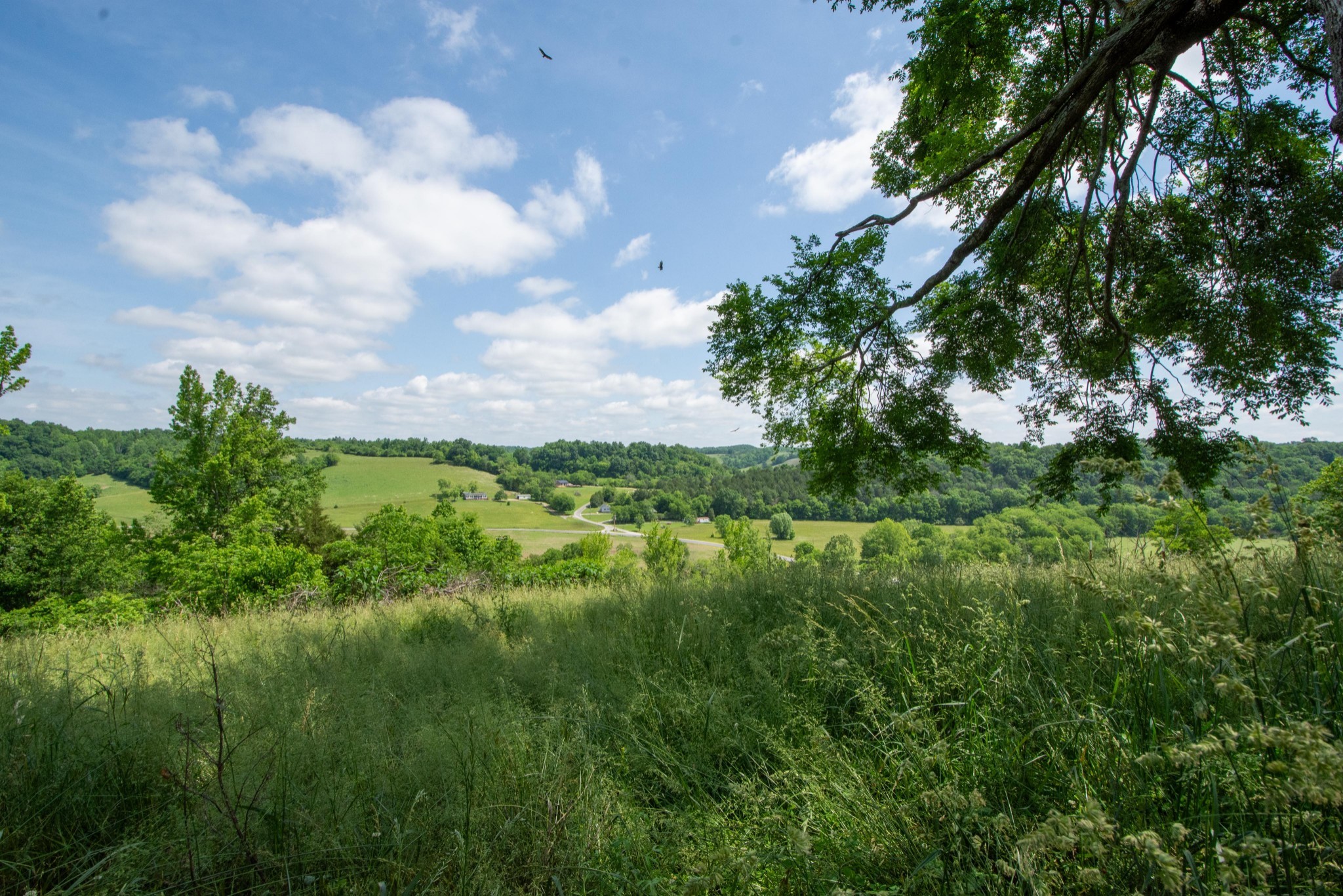 4951 Weakley Creek Rd Property Photo 79