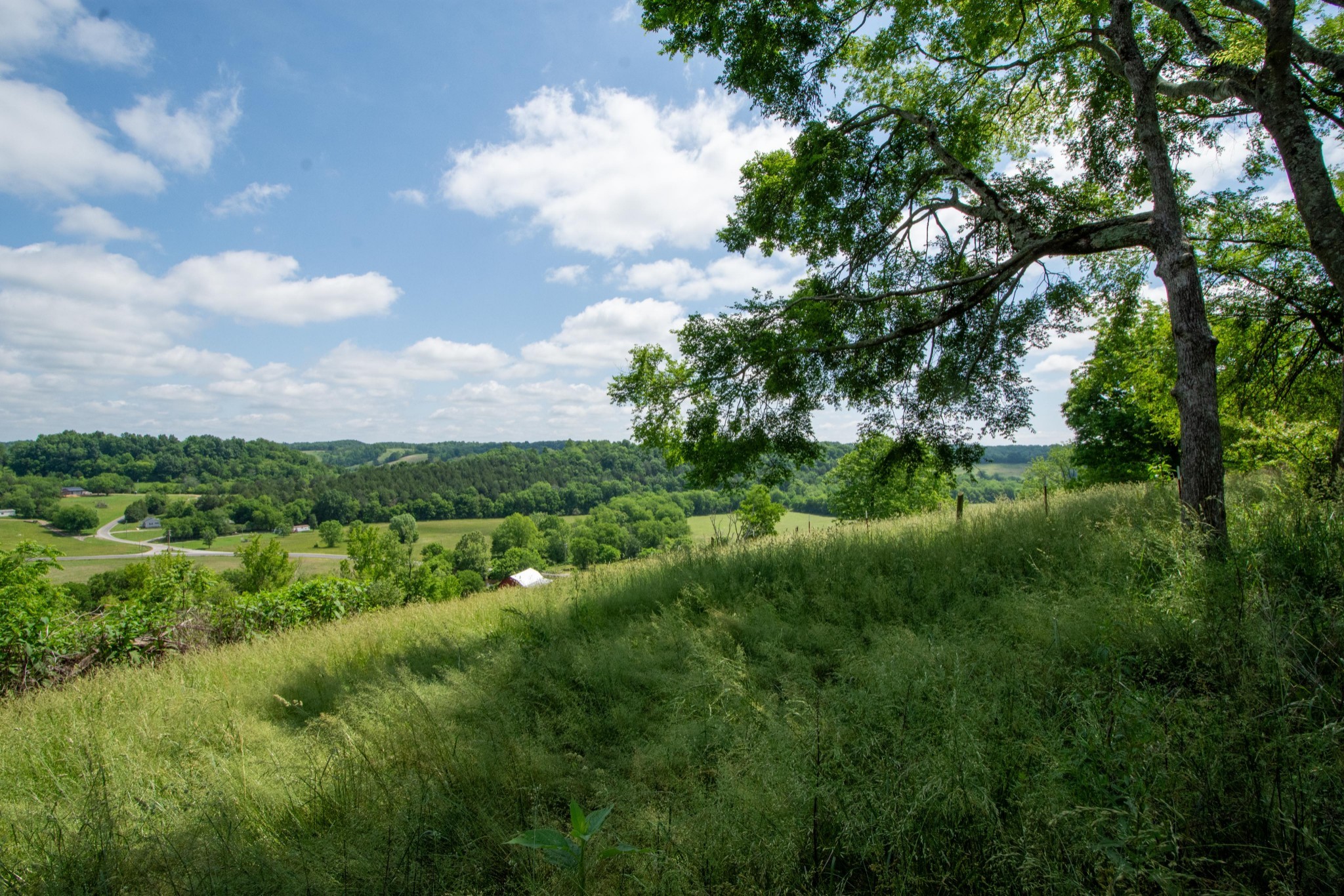 4951 Weakley Creek Rd Property Photo 80