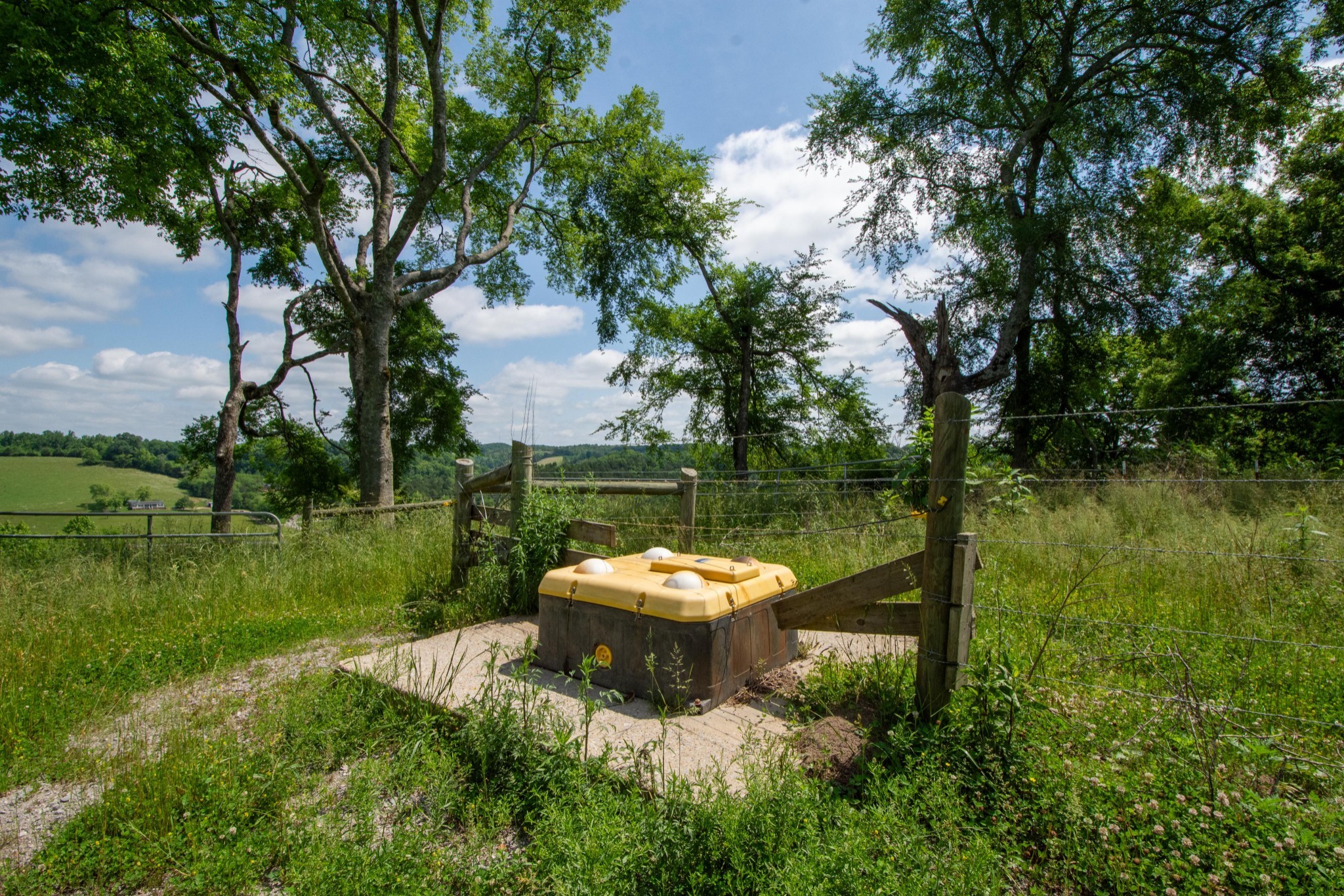 4951 Weakley Creek Rd Property Photo 81