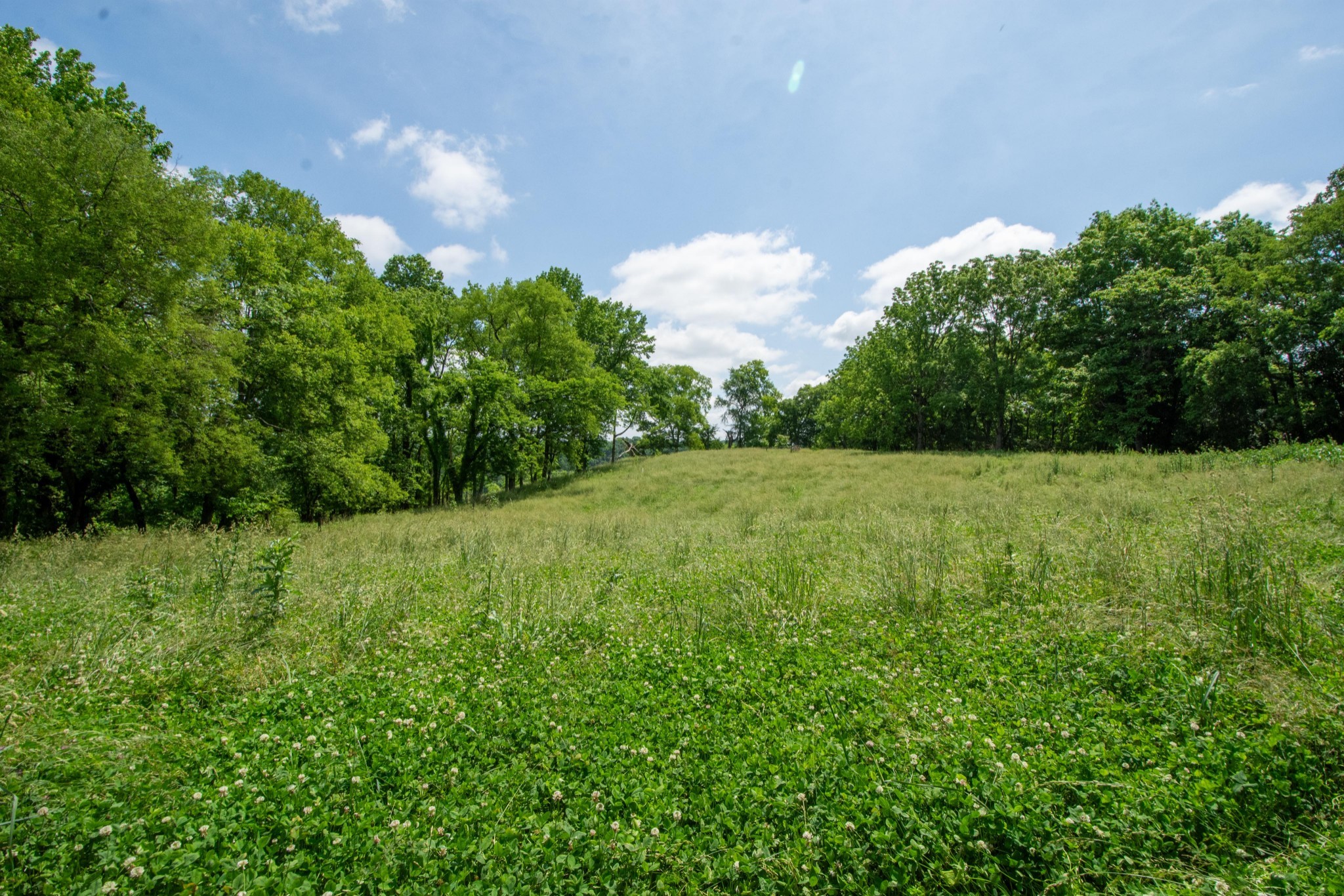 4951 Weakley Creek Rd Property Photo 82