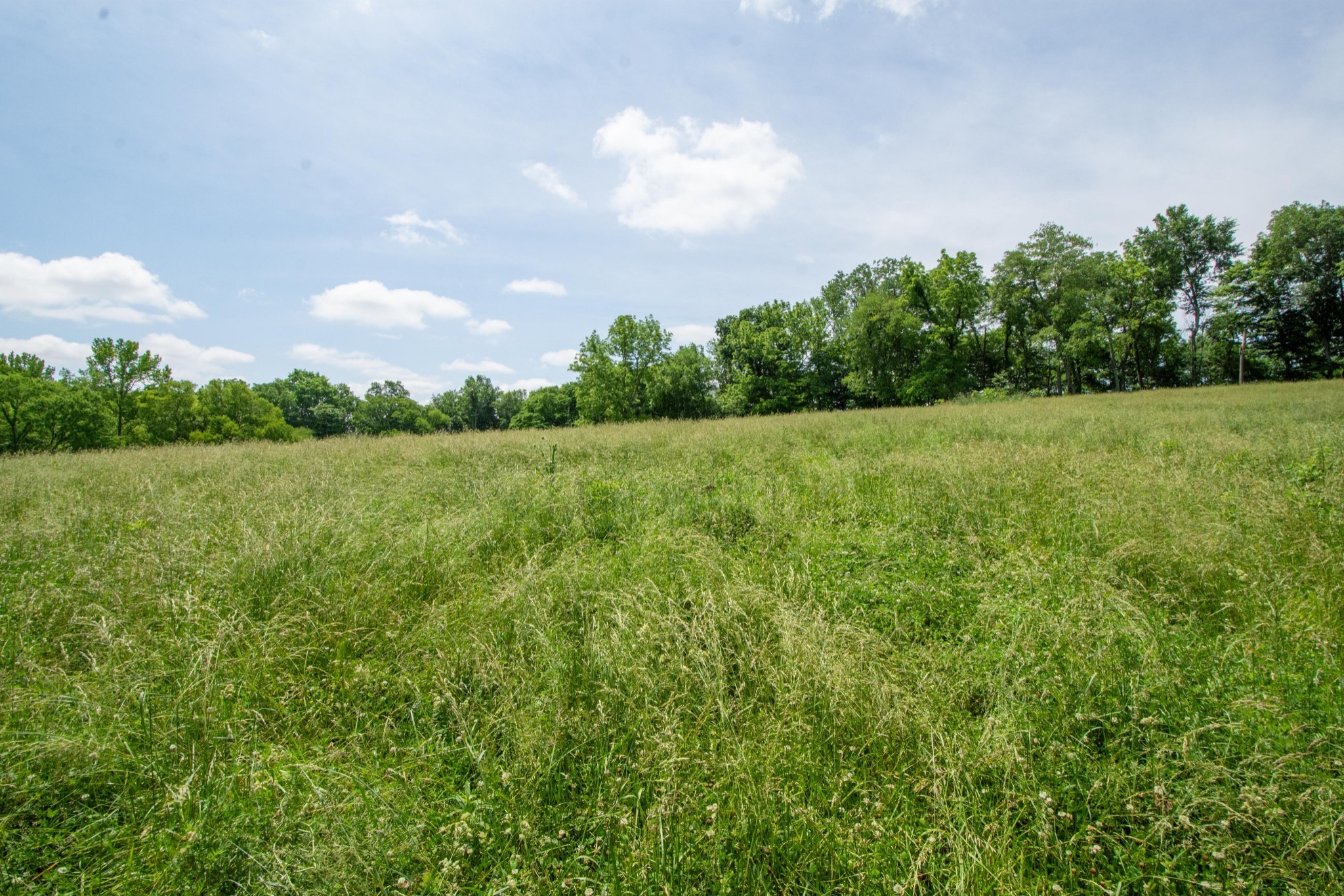 4951 Weakley Creek Rd Property Photo 84