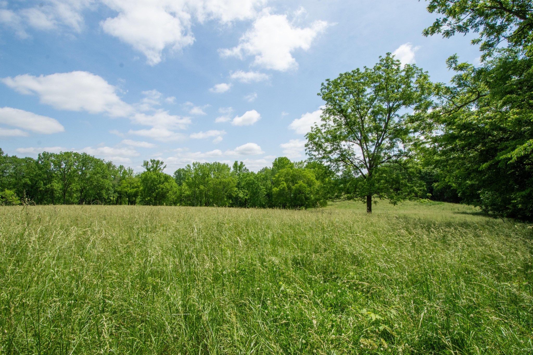 4951 Weakley Creek Rd Property Photo 85
