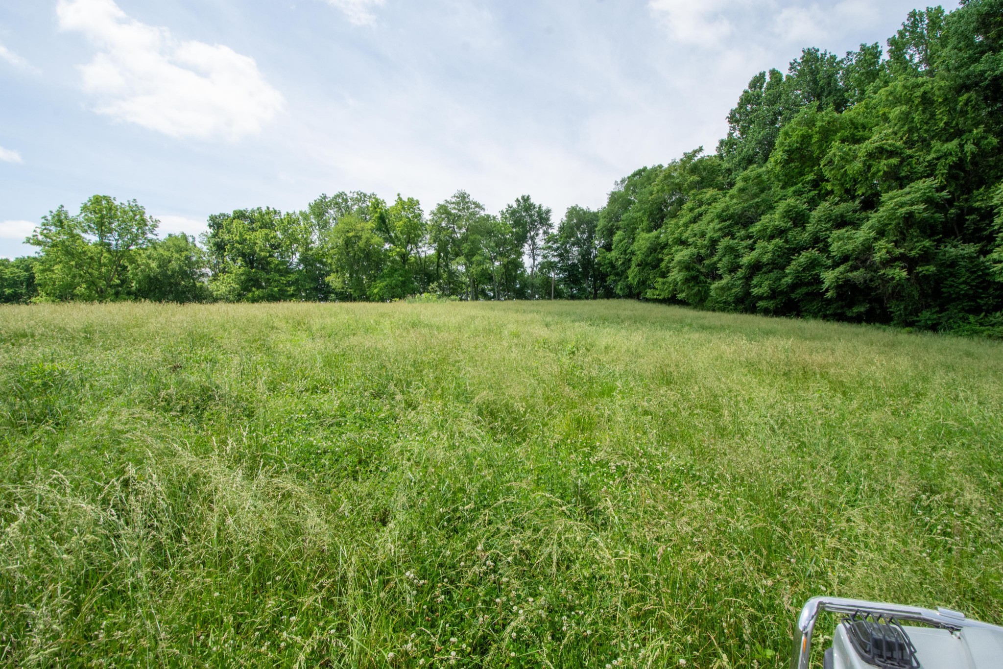 4951 Weakley Creek Rd Property Photo 86