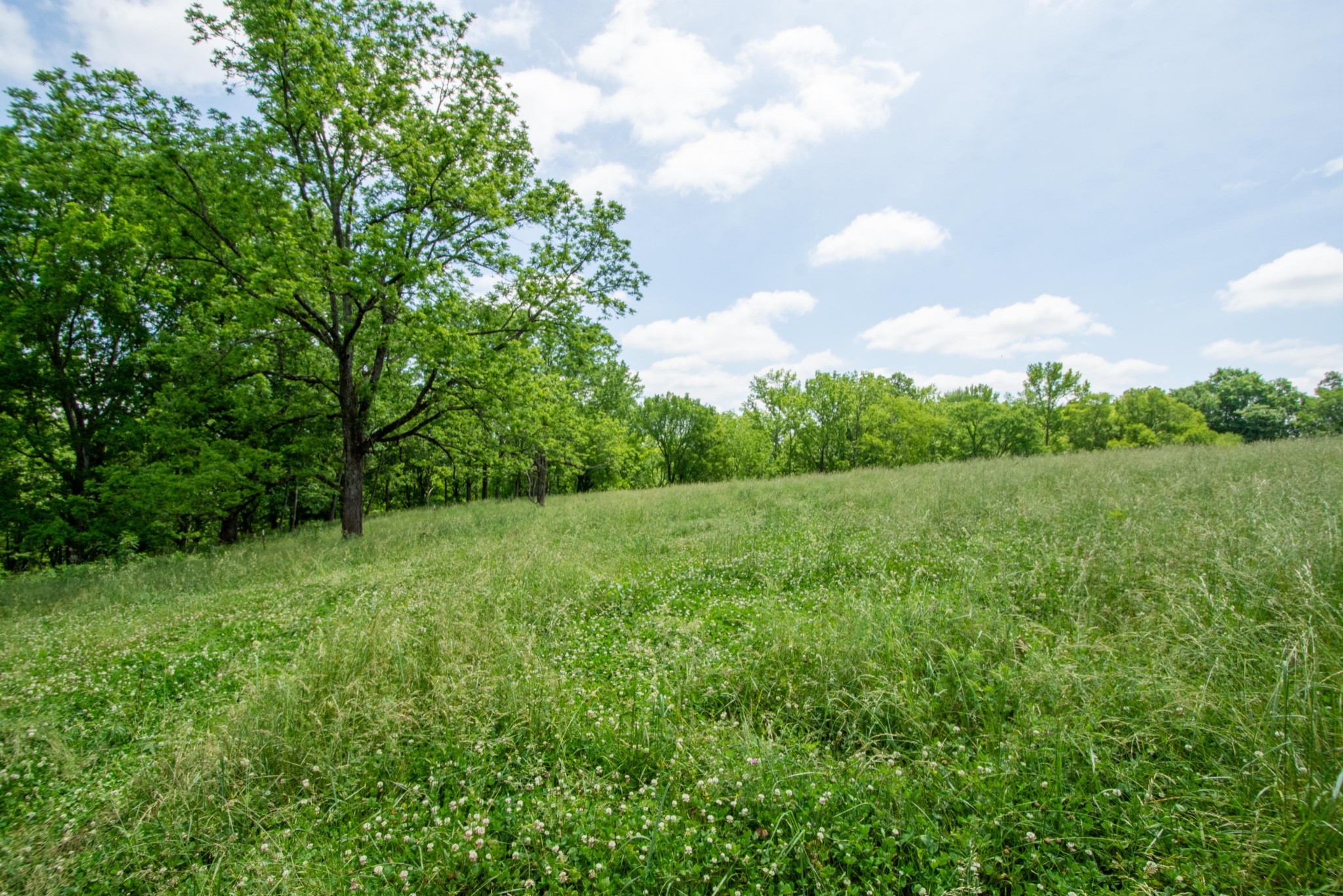 4951 Weakley Creek Rd Property Photo 87