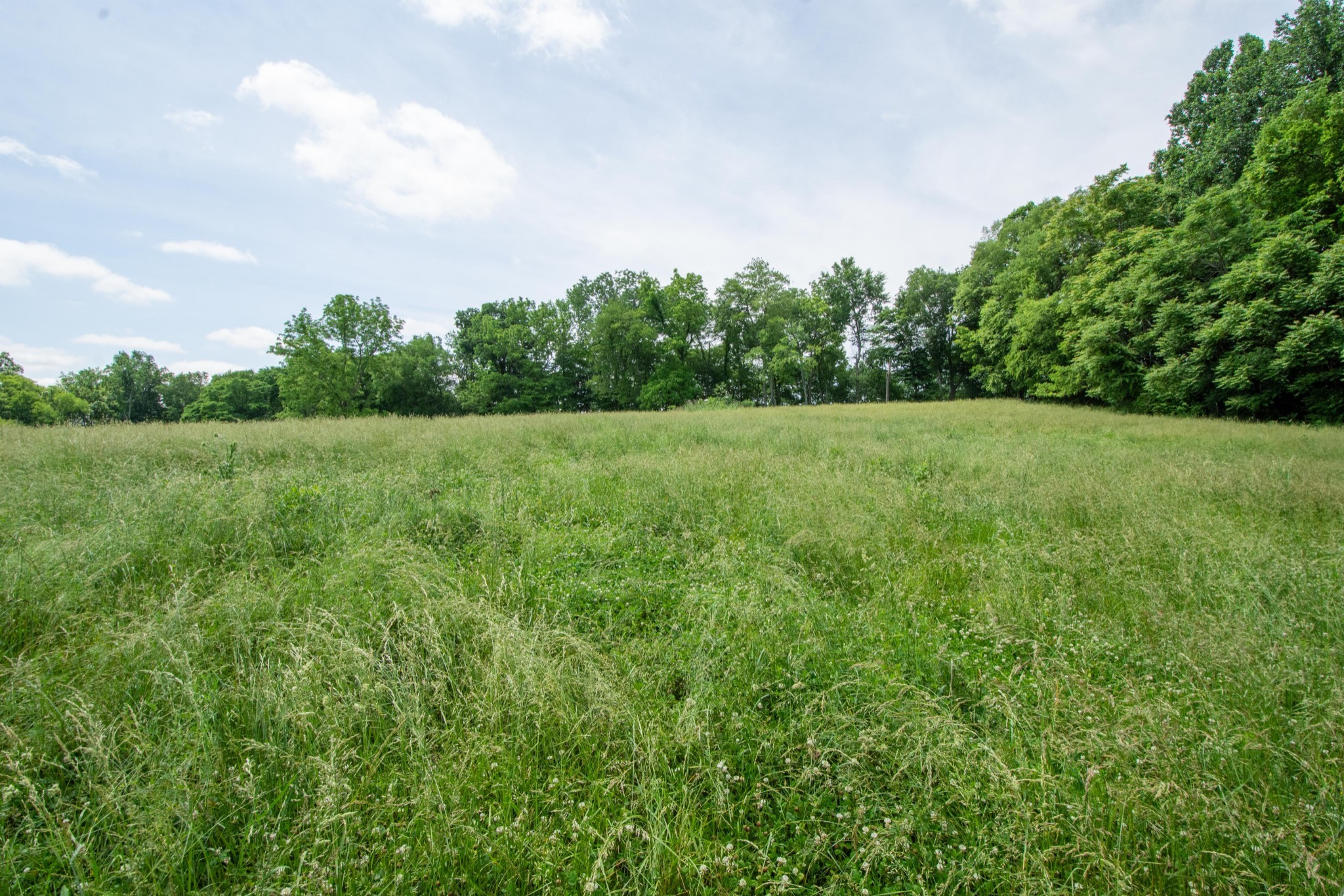 4951 Weakley Creek Rd Property Photo 88