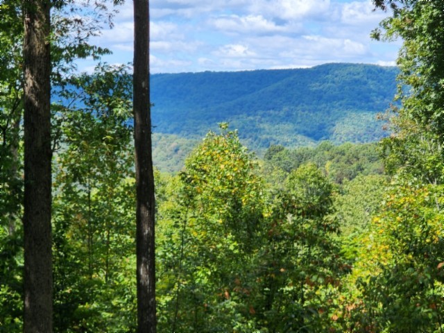 0 Tomahawk Rd Property Photo 1