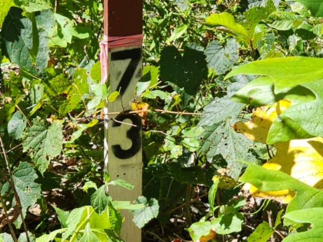 0 Tomahawk Rd Property Photo 3