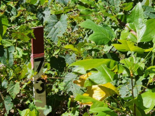 0 Tomahawk Rd Property Photo 4