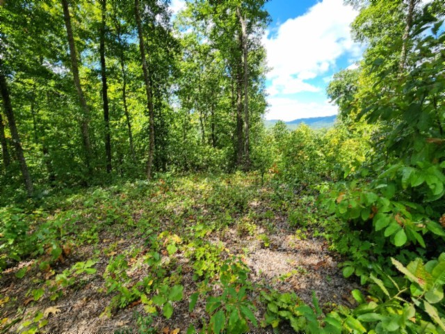 0 Tomahawk Rd Property Photo 9