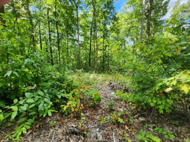 0 Tomahawk Rd Property Photo 11