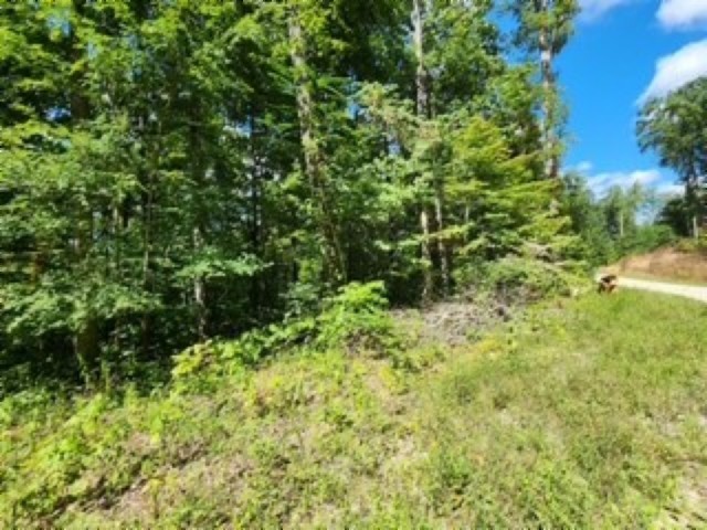 0 Tomahawk Rd Property Photo 14