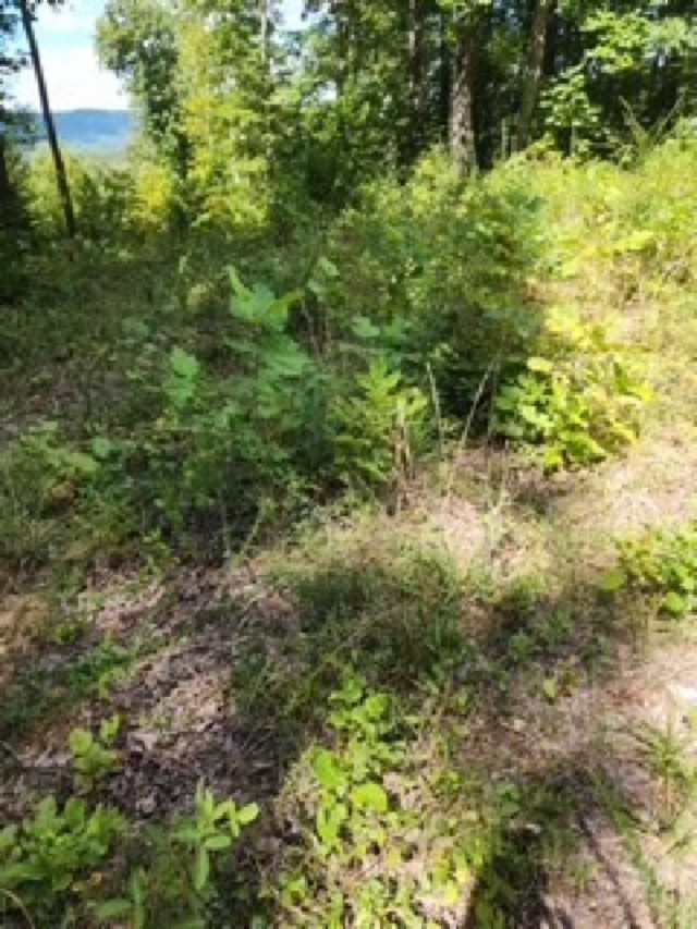 0 Tomahawk Rd Property Photo 19