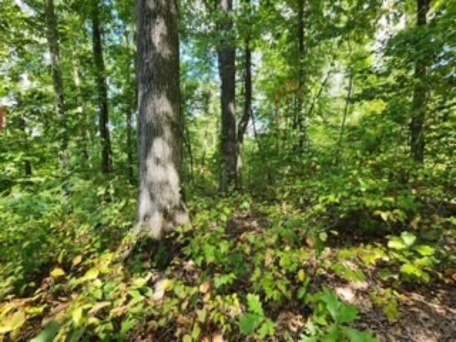 0 Tomahawk Rd Property Photo 21