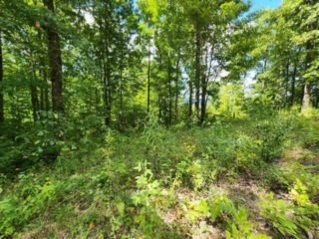 0 Tomahawk Rd Property Photo 22