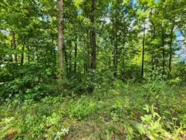 0 Tomahawk Rd Property Photo 23