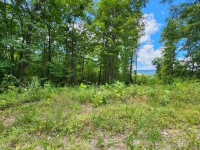 0 Tomahawk Rd Property Photo 25