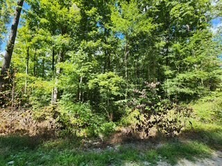 0 Tomahawk Rd Property Photo 12