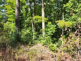 0 Tomahawk Rd Property Photo 15