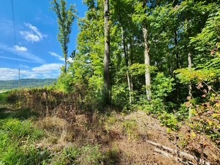 0 Tomahawk Rd Property Photo 16