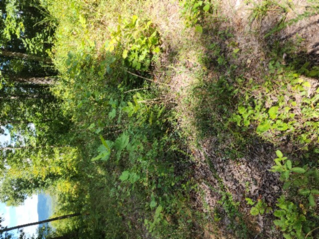 0 Tomahawk Rd Property Photo 44