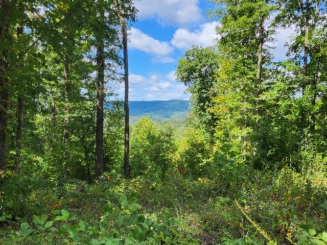 0 Tomahawk Rd Property Photo 45