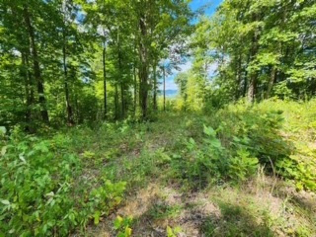 0 Tomahawk Rd Property Photo 54