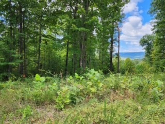 0 Tomahawk Rd Property Photo 64