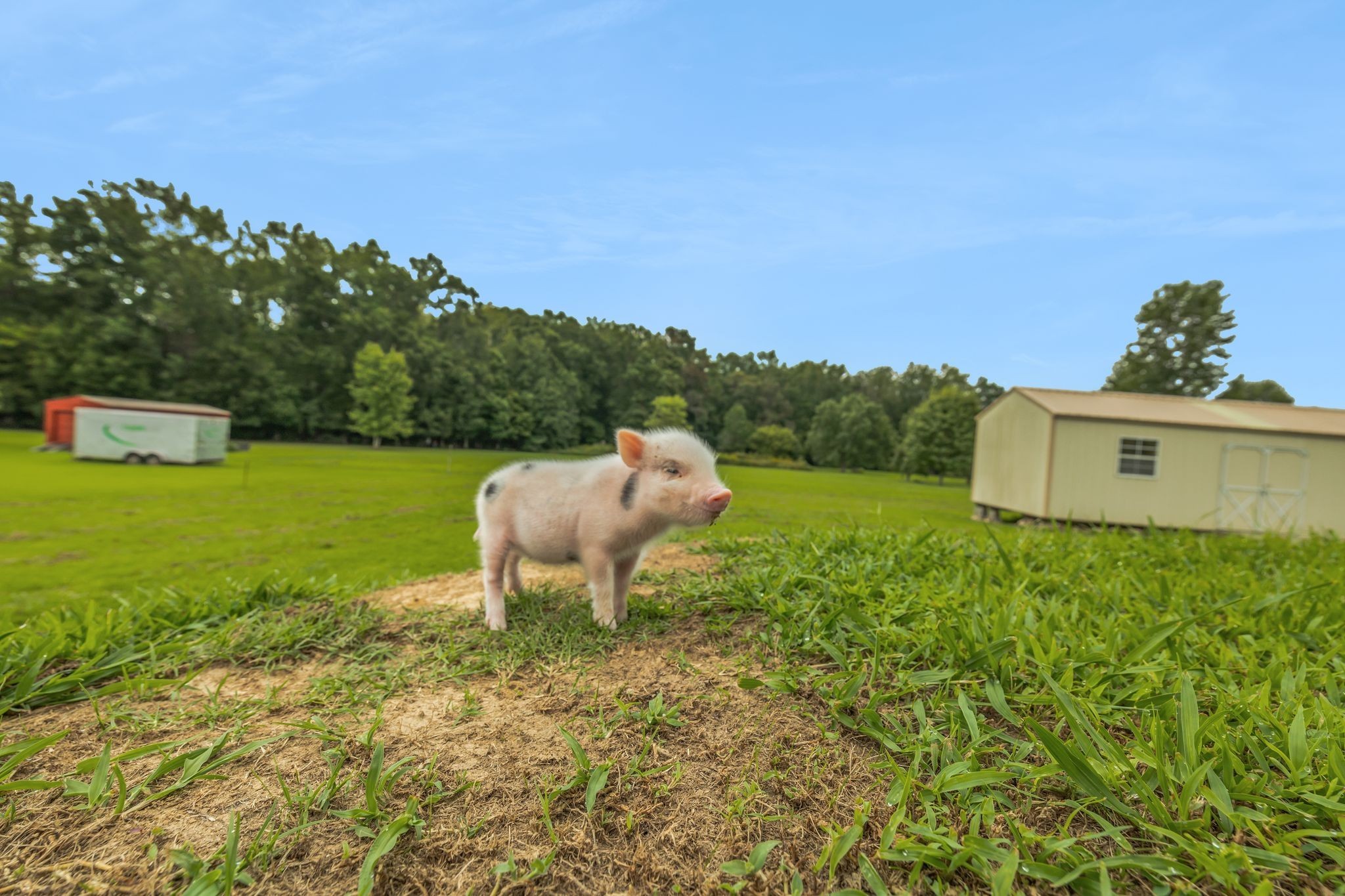 272 Jacoby Dr Property Photo 33