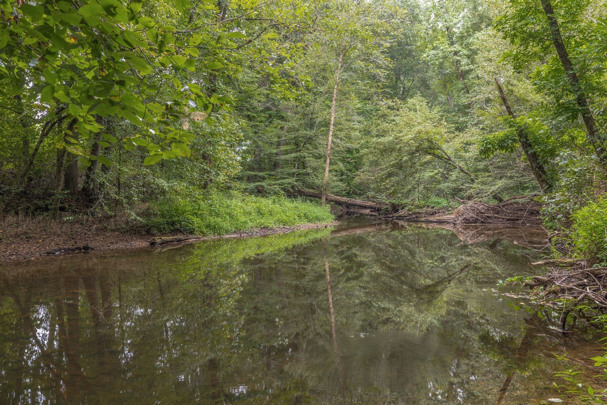 272 Jacoby Dr Property Photo 35